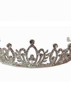 Hair Tiara- Swirls and leaf design toped with rhinestones
