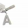 Initial 3D Crystal Keychains