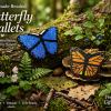 Handmade Beaded Butterfly Coin Wallet