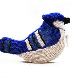 Blue Jay