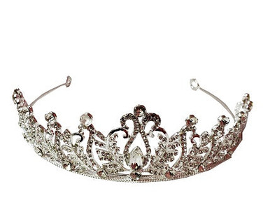 Hair Tiara- Swirls and leaf design topped with rhinestones