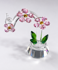 Crystal-pink flowers in  in pot/Z