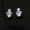 Double heart Earring