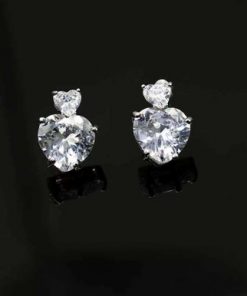 Double heart Earring