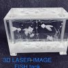 Crystal-3D laser goldfish tank engraved size 5x8cm