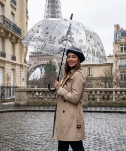 Paris Monuments and Accessories print Clear Umbrella