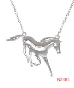 N2494 horse