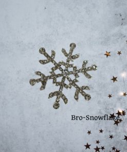 Brooch-Snowflake
